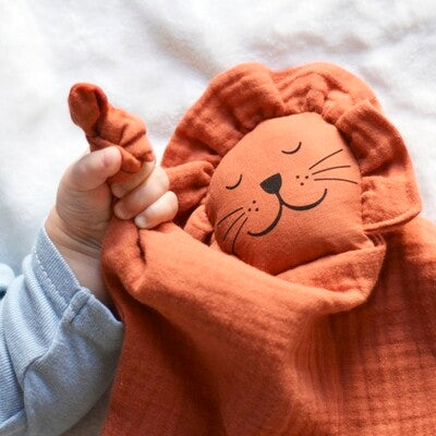 Doudou Lion