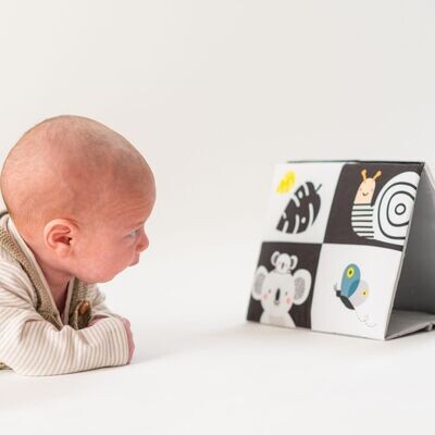 Libro con specchio - Koala