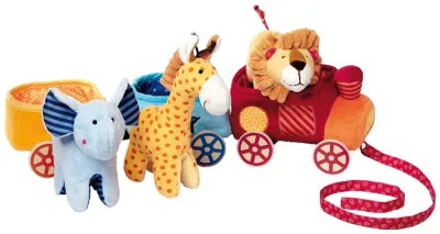 Treno safari