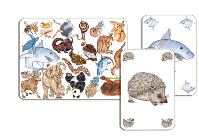 Gioco di carte Zanimatch