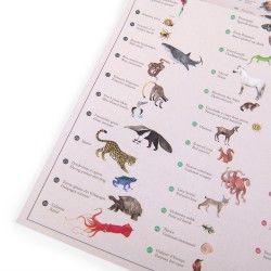 Décalcomanies : Carte du monde