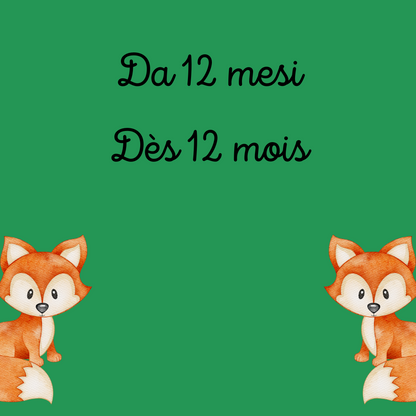 Draisienne-Tricycle 2 en 1 Maxi