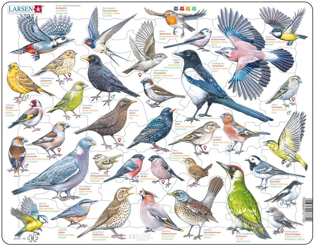 Puzzle Les Oiseaux