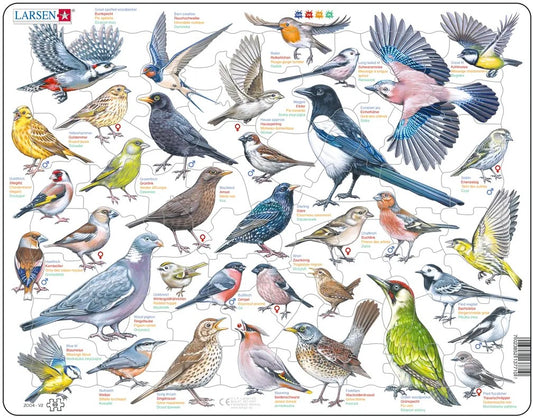 Puzzle Les Oiseaux