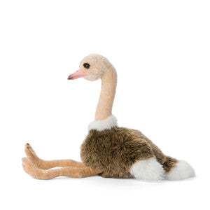 Autruche WWF