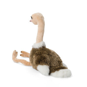 Autruche WWF