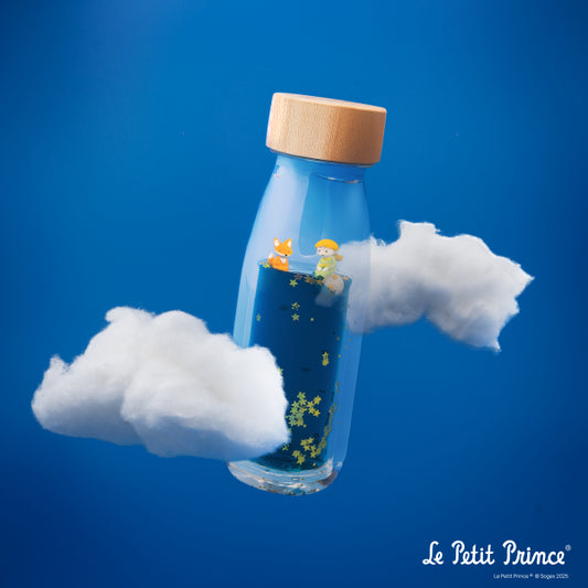 Bouteille sensorielle Petit Prince