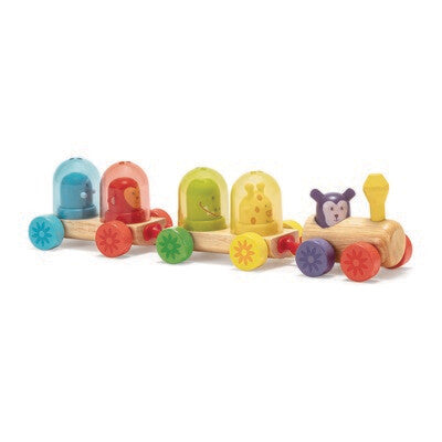 Rainbow Train