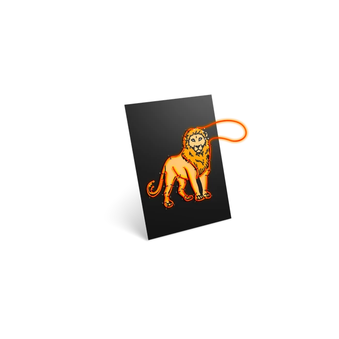 KIDYNEON - Animaux