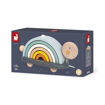 Tortue arc-en-ciel