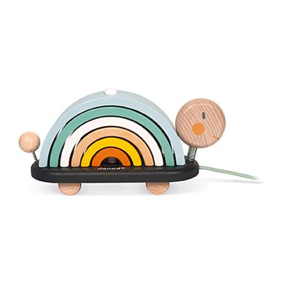 Tortue arc-en-ciel