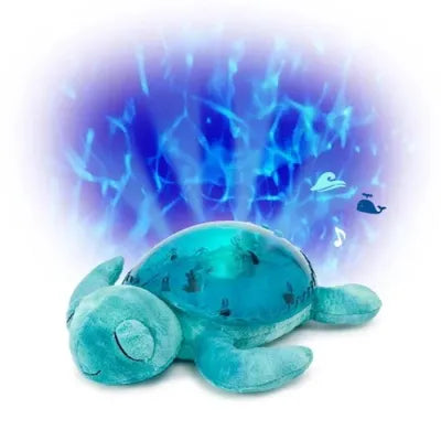 Tranquil Turtle