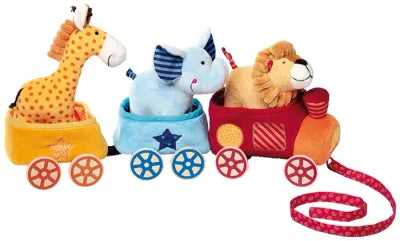 Train Safari