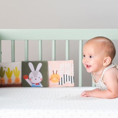 Livre pour bébé - Urban Garden