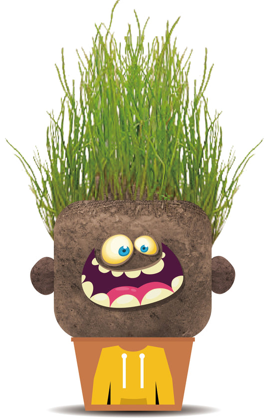 Plant Pals - Happy Hank