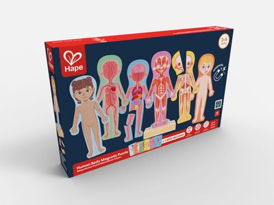 Puzzle aimanté - assemble le corps humain