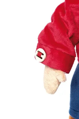 Singe Apprendre à s'habiller