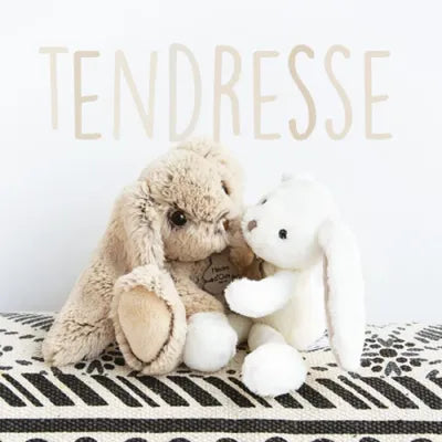 Copain Calin Lapin