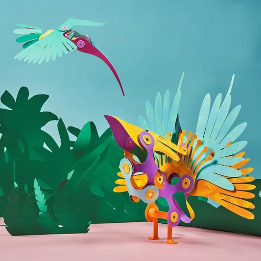 Tropical birds