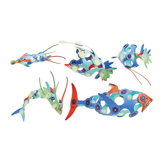 Ocean Creatures