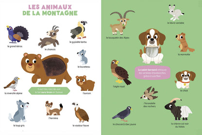 Mes premiers animaux de Suisse à toucher (Französische Version)