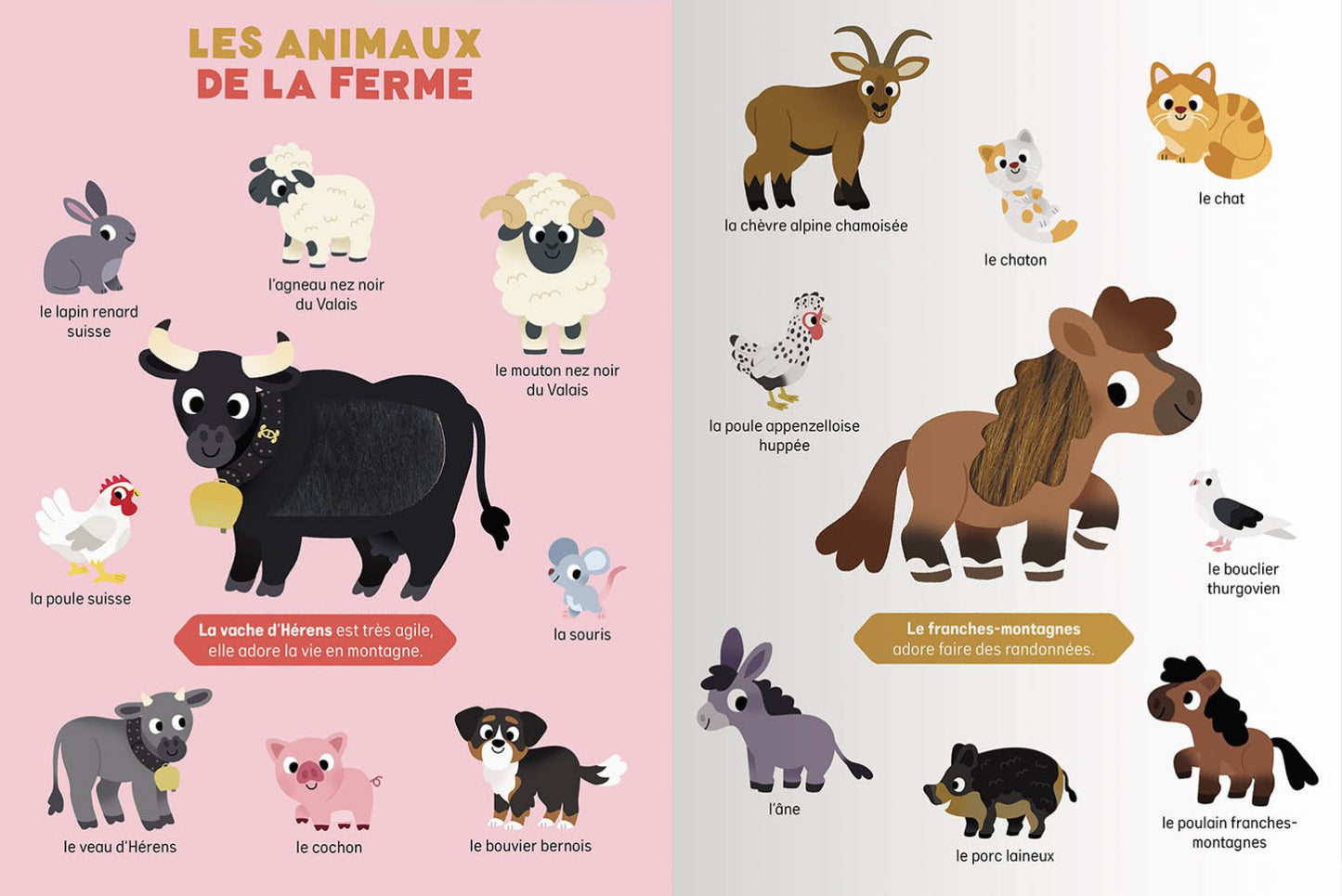 Mes premiers animaux de Suisse à toucher (Französische Version)
