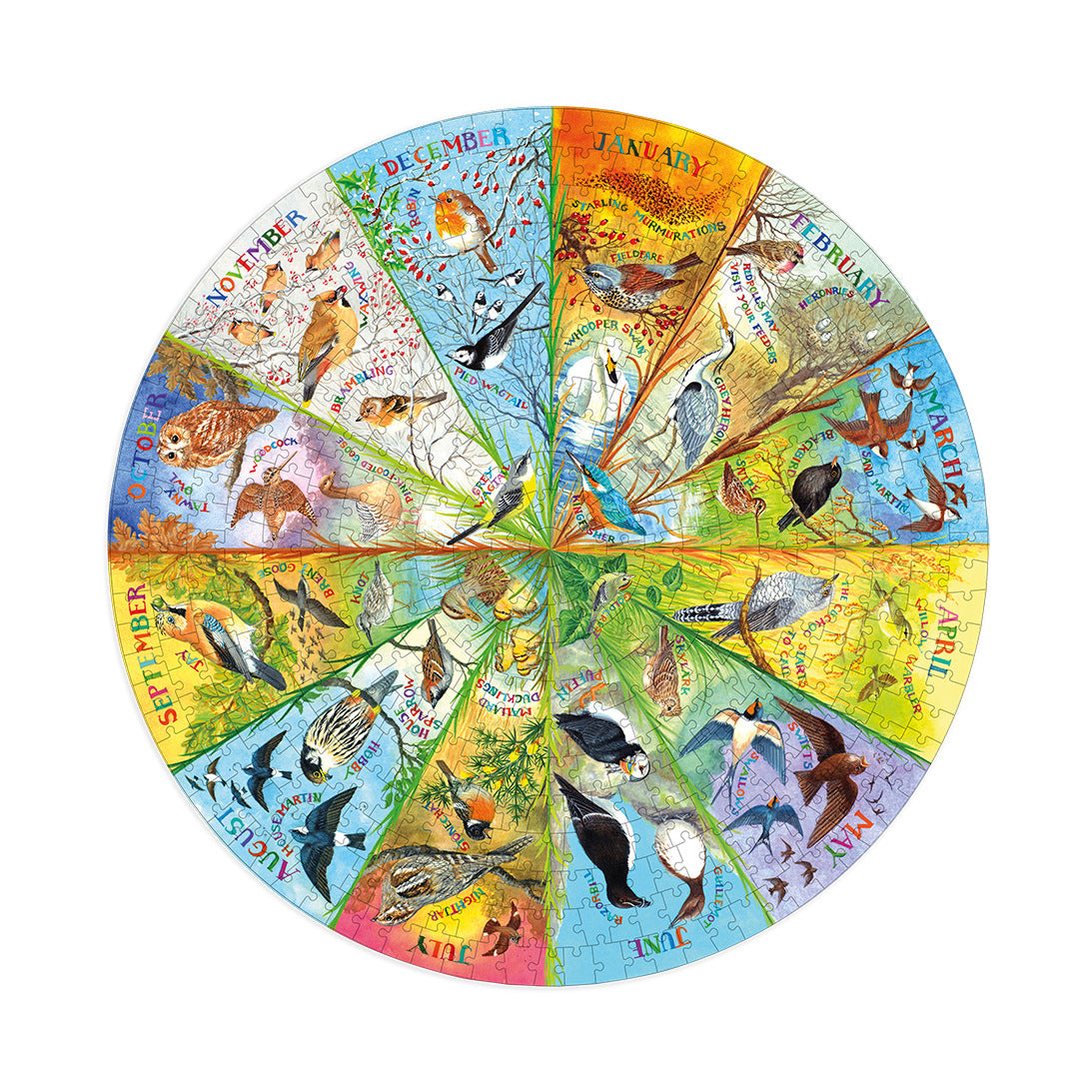 Birds of the Year – 500 pièces