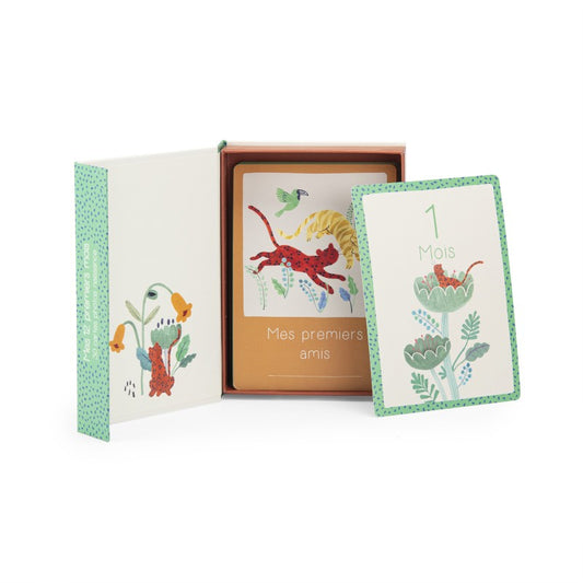 Cartes Mes 12 premiers mois (FR)