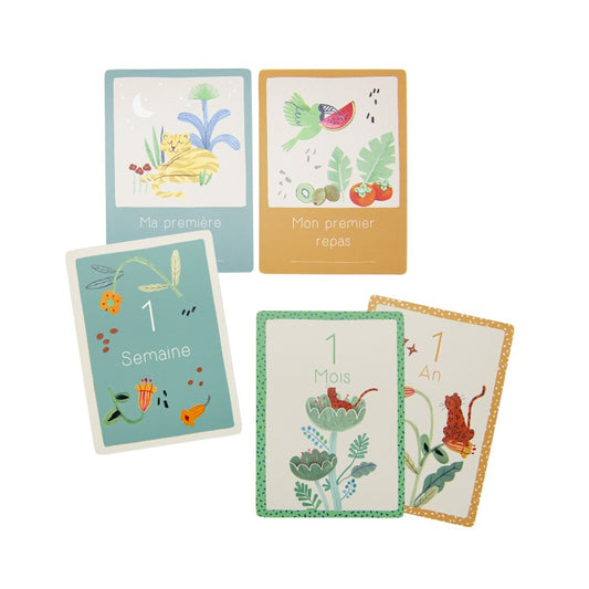 Cartes Mes 12 premiers mois (FR)