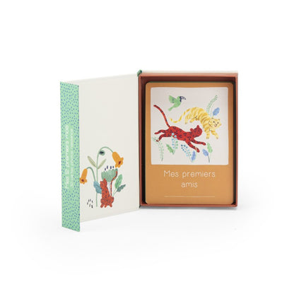 Cartes Mes 12 premiers mois (FR)