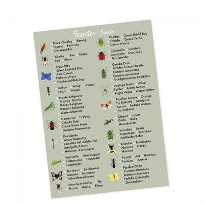 Erinnerung – Das Insekt und seine Blume