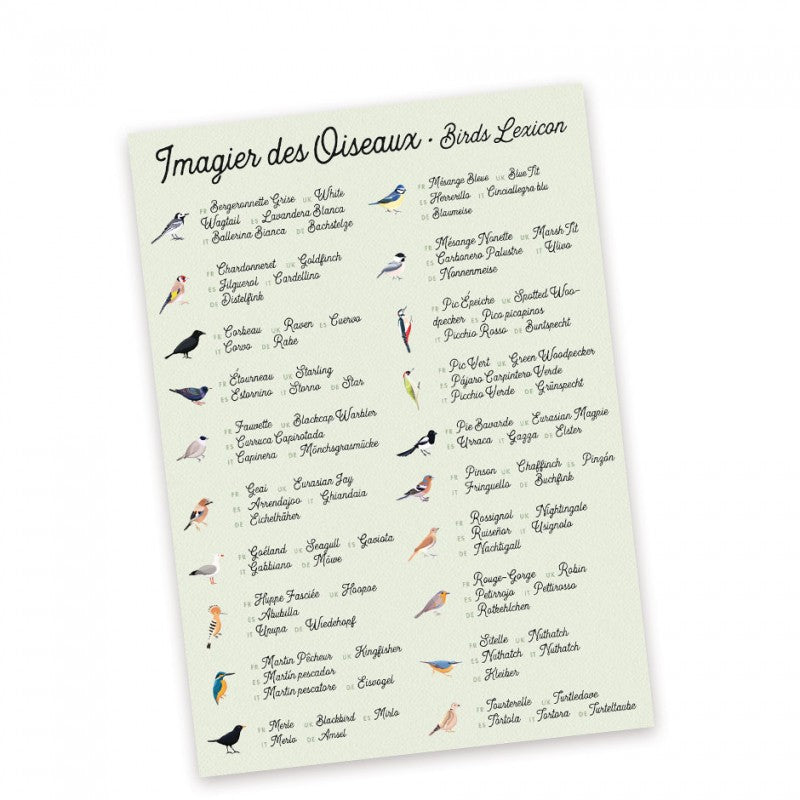 Erinnerung – der Vogel und seine Feder