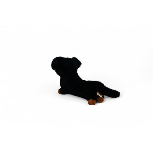 Peluche appesantito bassotto Pumpkin